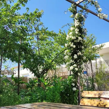 La Primavera Anacapri (Isola di Capri)