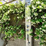 La Primavera Semesterbostad Anacapri (Isola di Capri)