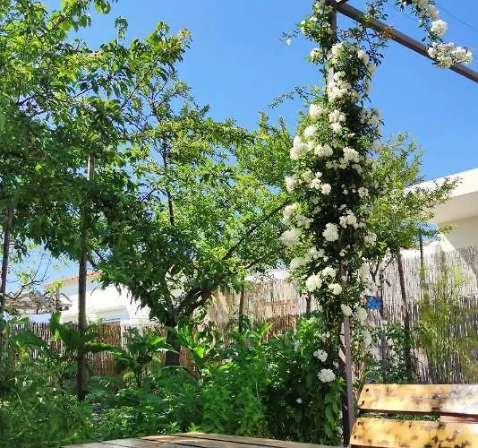 La Primavera Ανακάπρι