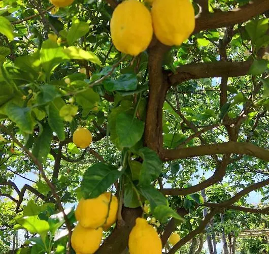 La Primavera بيت للعطل